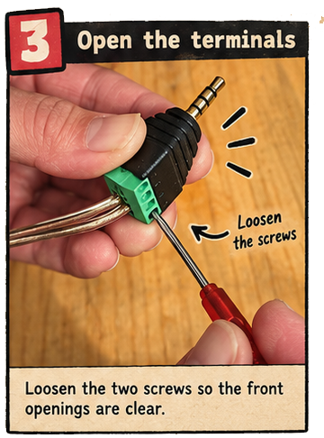 Step 3: Loosen the two terminal screws with the small screwdriver